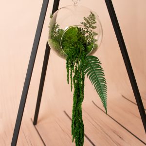 PD_00171